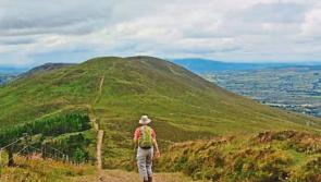 Tipperary walking club all set for trek to the lime tree grove near Silvermines