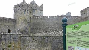 Maintenance works needed at Cahir Tourist Office, Tipperary council meeting told 