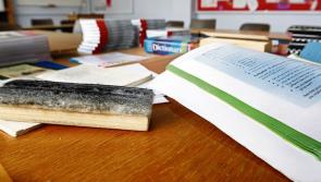 Louth TD calls for more support for families struggling with back to school costs