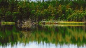Man dies in tragic accident at Offaly lake
