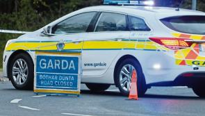 Gardaí renew appeal for witnesses to N4 collision as woman in 70's dies 