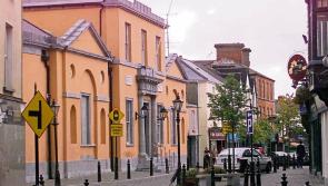 Laois jogger bitten by dog 