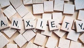Renowned psychotherapist to give free talk on parenting teenagers with anxiety in Carrick-on-Suir 