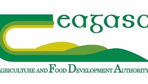 Kilkenny farm is part of the Teagasc Monthly Monitor Farm Programme 