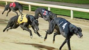 The latest greyhound racing results from Dundalk Stadium