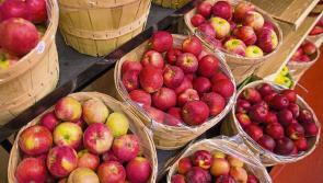 Apple day at the Organic Centre this Sunday 