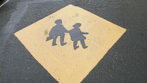 Appeal to Tipperary council to install traffic calming measures outside Clerihan National School