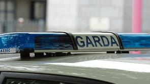 Ukrainian's travel wallet stolen in Limerick has been returned