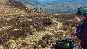 Local Ramblers group are back in action once again