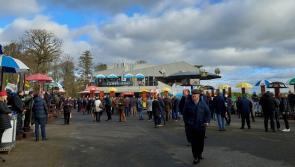 Kilkenny set to prove 'festival capital' bona fides, with bumper year of events ahead