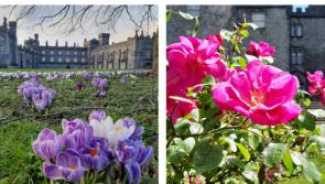 From formal rose gardens to wildflower meadows at Kilkenny Castle