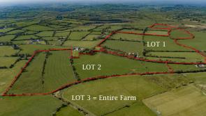 Online and in-person bidders go toe-to-toe for €1.2m farm on Limerick-Tipperary border