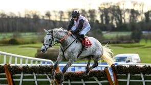 Horses with Tipperary connections on course for Paddy Power Irish Gold Cup at Leopardstown