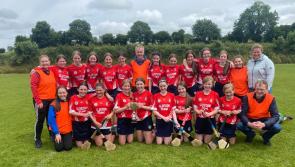 PICTURES: Round up of last weekend's U14 County finals