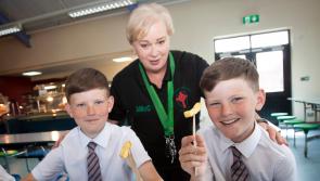 IN PICTURES: St. Joseph’s  Boys School welcome P7 children to 'Induction Day'