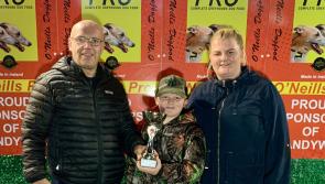 Derry Greyhounds: Paul’s Prada in fashion at Brandywell