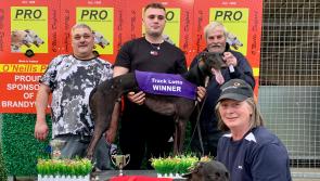 Derry Greyhounds: Runalong Ruby hands over the racing baton to Boherna Rio