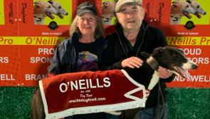 Derry Greyhounds: Snipe Drum heads the Brandywell league table