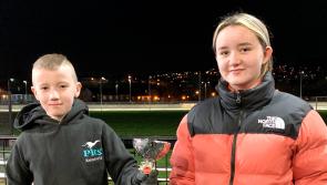 Derry Greyhounds: Mineola, King of the Brandywell