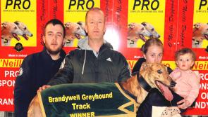 Derry Greyhounds: Jay’s Titanic performance on Track Lotto Night