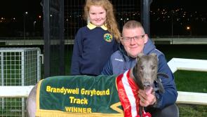 Derry Greyhounds: Sniper Ria propels herself into the history books