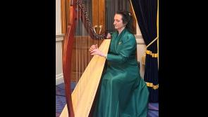 Kilkenny harpist plays at Seanad centenary event