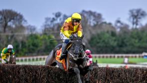 Festival feast of racing over busy Christmas period