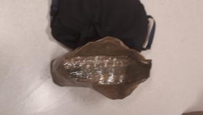 Garda&iacute; warn Kilkenny shops over &lsquo;foil bag&rsquo; swindlers