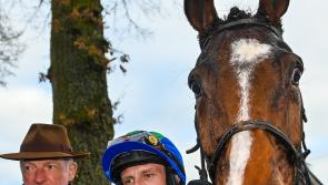 Thyestes Day to attract big crowd to Gowran Park