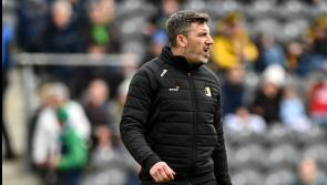 Kilkenny manager Derek Lyng welcomes new additions to backroom team