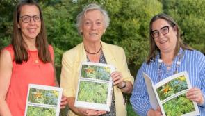 Launch of the County Kildare Hedgerow Appraisal Survey