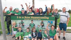 Limerick Morrissey brothers are ‘hurling heroes’ to young players