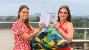 Limerick Show: Then and now