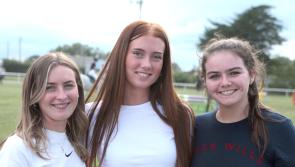 In Pictures: Limerick Show time is a great time for young and old! 