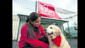 Longford charity Cian's Kennels: ‘We just want to help as many sick children as we possibly can’