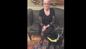 Breege’s Bus to be unveiled on Sunday in north Longford village
