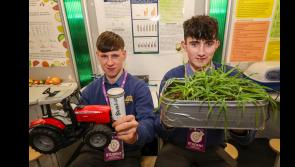 Longford students pick up&nbsp;Highly Commended award at BT Young Scientist & Technology Exhibition