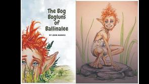 Longford book &lsquo;The Bog Bogluns of Ballinalee&rsquo; to transfix young readers  