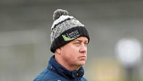 Longford hurling looking to the future as league status secure
