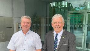 No red cards flashed as new cathaoirleach in County Limerick elected