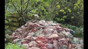 BREAKING: Huge amount of 'raw meat' dumped in rural area of Tipperary