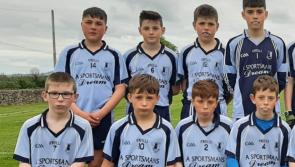 Tipperary GAA club unveils its Patron Jigsaw wall at new astro facility