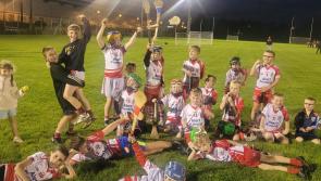 Gallery: Na Piarsaigh Blackrock host U9 Hurling Blitz
