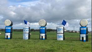 Family show novel support for newly crowned Limerick club hurling champions 