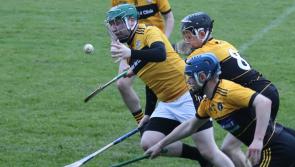 Tipperary referee had a job to do with the jerseys - but no bother to Paddy Russell!