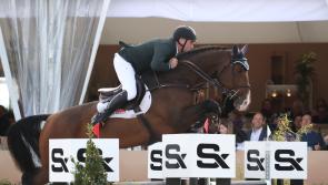 World championship-winning horse BP Goodfellas was bred in Tipperary