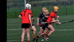 Tipperary school Carrick CBS lose big lead and place in knockout phase of Harty Cup 