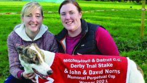 Unique National Meeting provides hare coursing bonanza in Tipperary