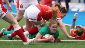 Two Tipperary players included in Irish rugby squad for world tournament in Dubai