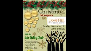 Carrick-on-Suir Lions Club to host Christmas Food Appeal fundraiser at Dovehill 
